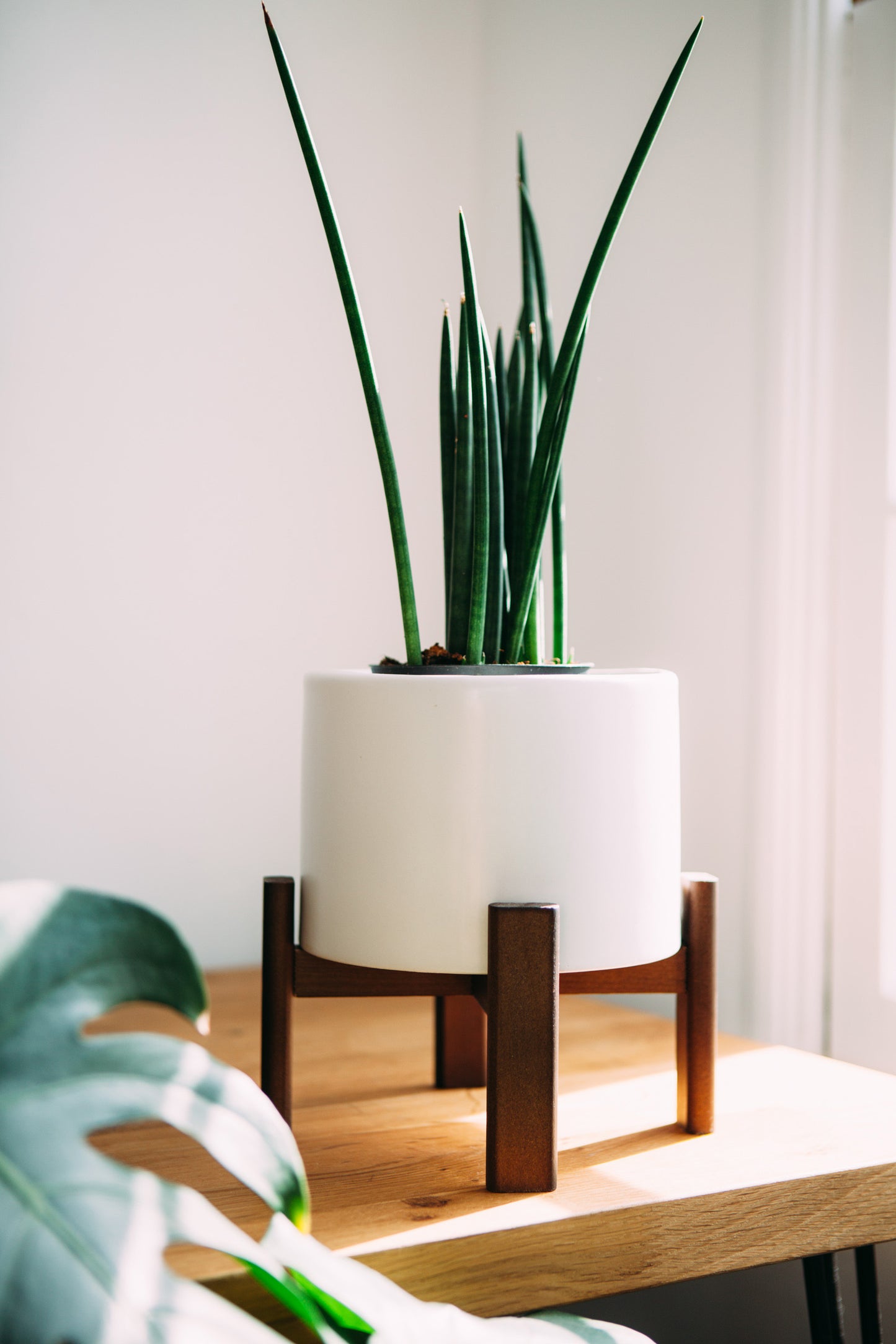 Sonder Planter Pot - Fossil White